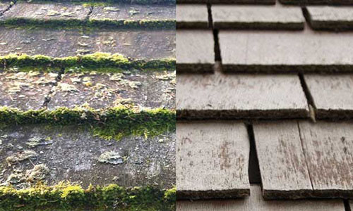 Roof Maintenance Thumbnail